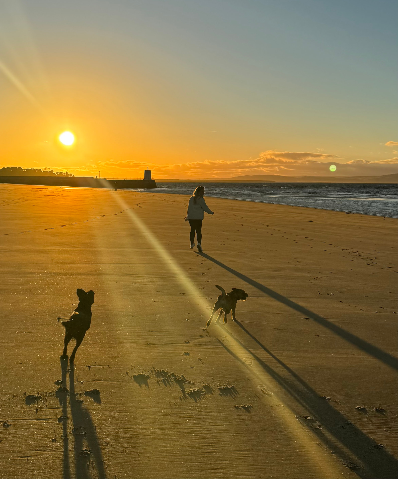 Two dogs enjoying a sunset walk on Nairn beach with their walker